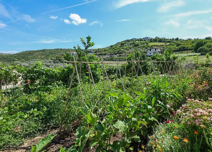 Xherimeja Family Oasis * Berat