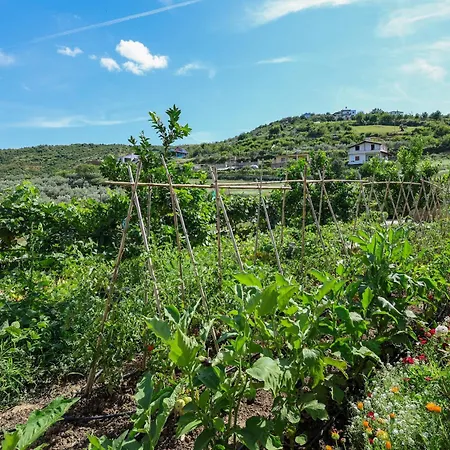 Xherimeja Family Oasis * Berat